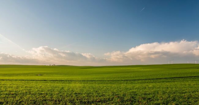 Washington Property Owners Trust Land Boss To Sell